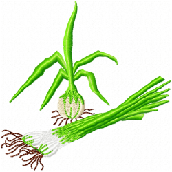 Garlic Embroidery Design 11 Garlic Embroidery Design 11